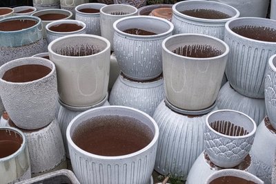 雜色普洱茶 時(shí)光流轉(zhuǎn)的斑斕印記